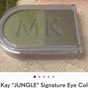 Mary Kay Powder Perfect Eye Color in Tan